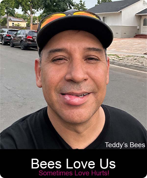 picture of a teddys bee removal service technician with a smile.
